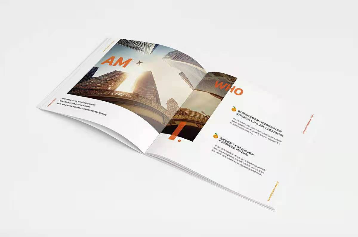 商務(wù)畫冊案例分享